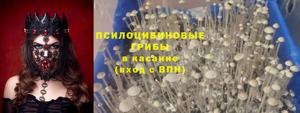 мяу мяу мука Кукмор