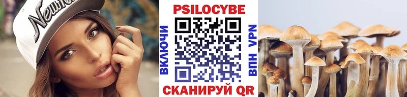 купить закладку  дарк нет клад  гидра ONION  Псилоцибиновые грибы мицелий  Лосино-Петровский 