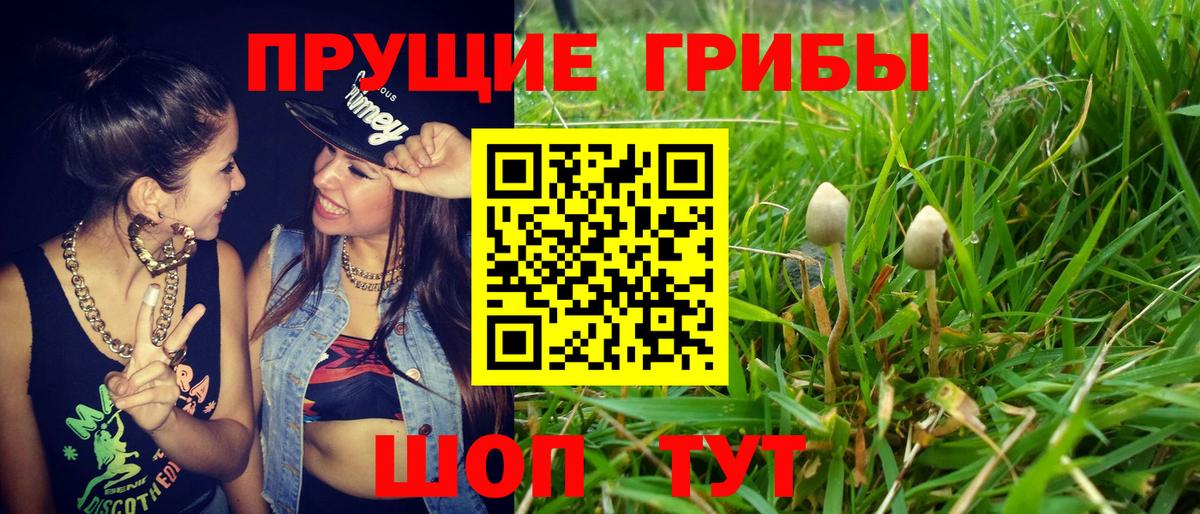 Галлюциногенные грибы Psilocybe  Галлюциногенные грибы ЛСД  Вход с VPN  Лосино-Петровский 